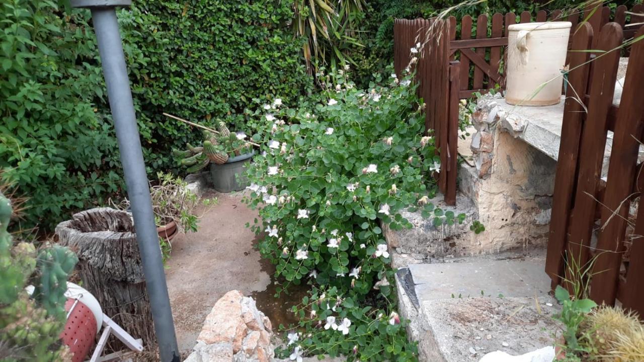 Bed And Breakfast Dolce Sorriso Polignano a Mare Exterior foto